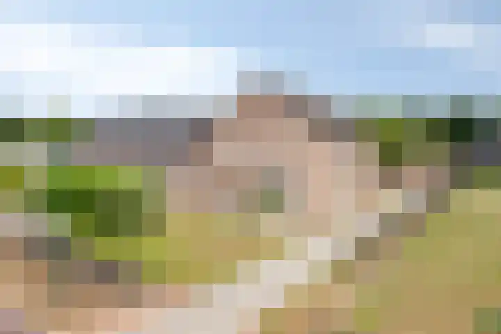 Kerkweg 2 Heesch thumbnail 68