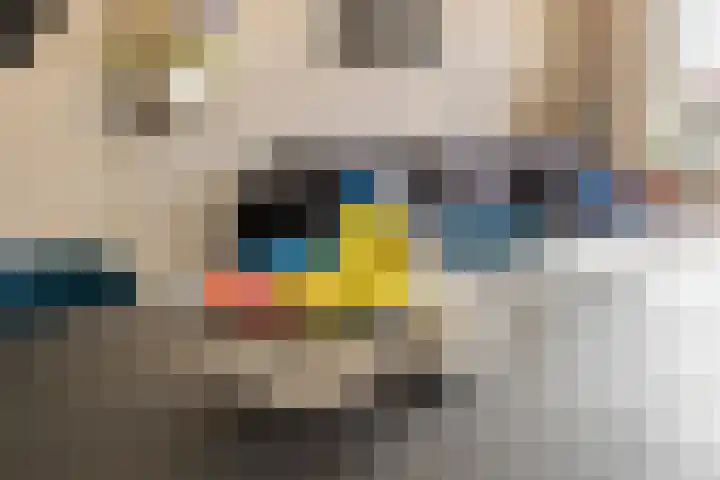 Kerkweg 2 Schelluinen thumbnail 10