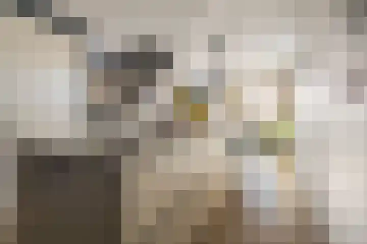 Kerkweg 2 Schelluinen thumbnail 11