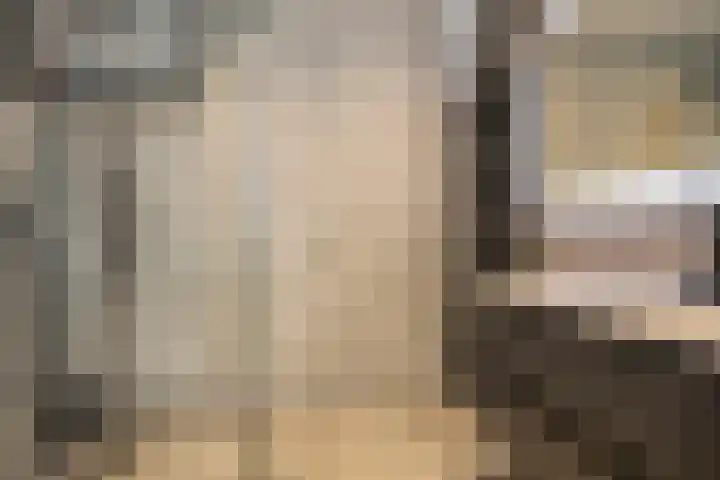 Kerkweg 2 Schelluinen thumbnail 17
