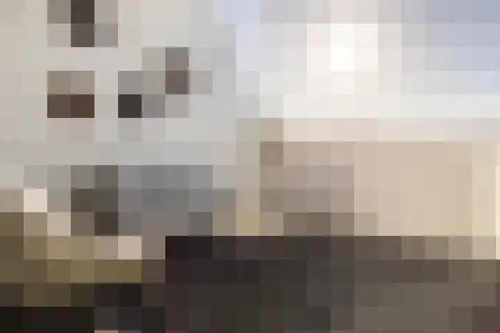Kerkweg 2 Schelluinen thumbnail 21