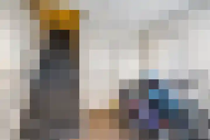 Kerkweg 2 Schelluinen thumbnail 25