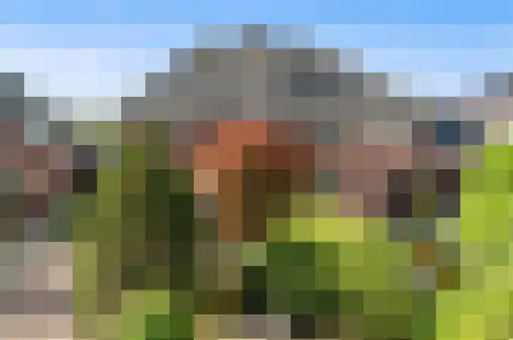 Kerkweg 20 Maasland