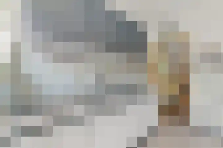 Kerkweg 20 Maasland thumbnail 14