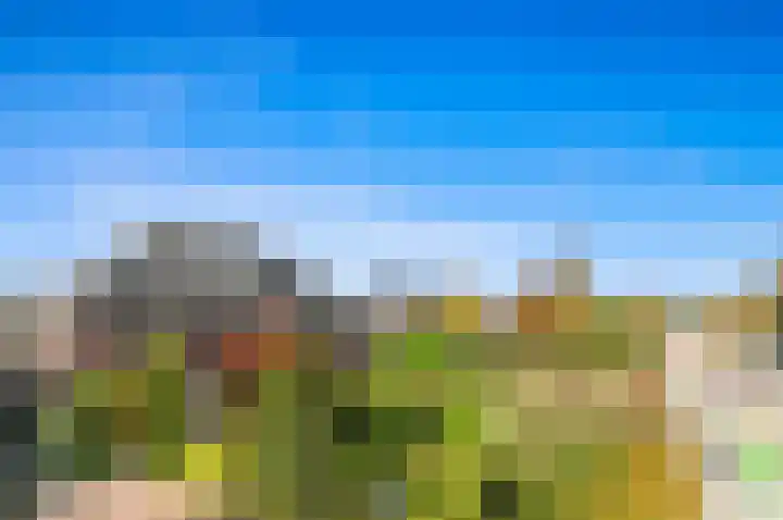 Kerkweg 20 Maasland foto 2