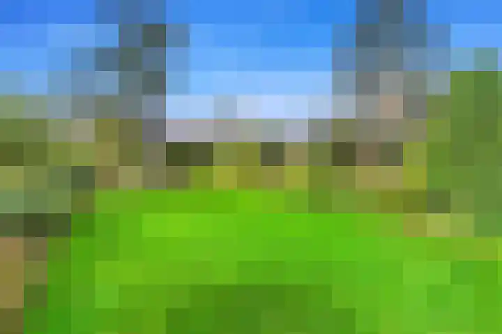 Kerkweg 20 Maasland thumbnail 27