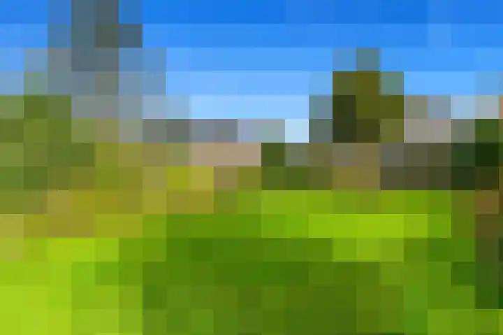 Kerkweg 20 Maasland thumbnail 28
