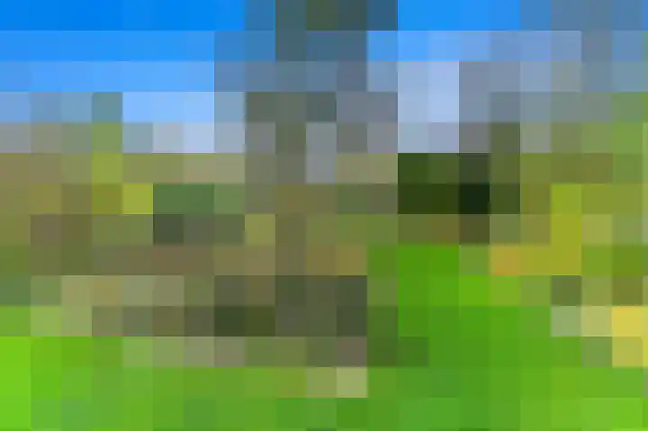 Kerkweg 20 Maasland thumbnail 29