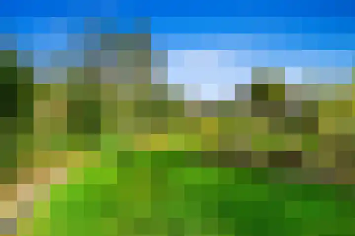 Kerkweg 20 Maasland thumbnail 30