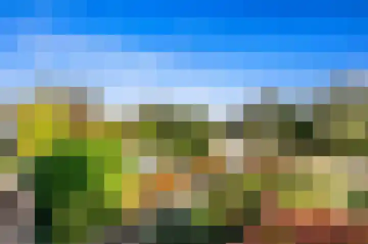 Kerkweg 20 Maasland thumbnail 37