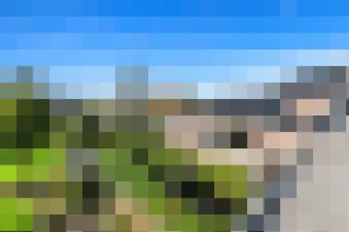 Kerkweg 20 Maasland thumbnail 51