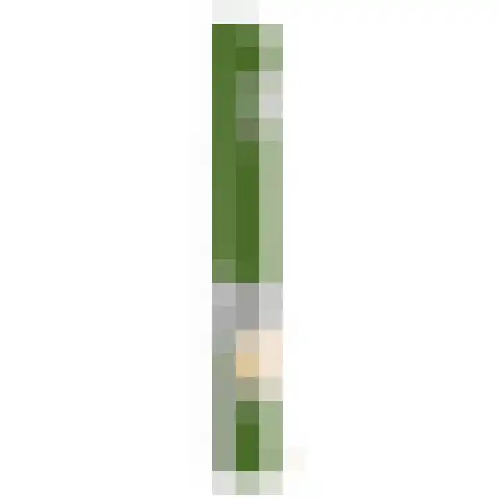 Kerkweg 20 Maasland thumbnail 52