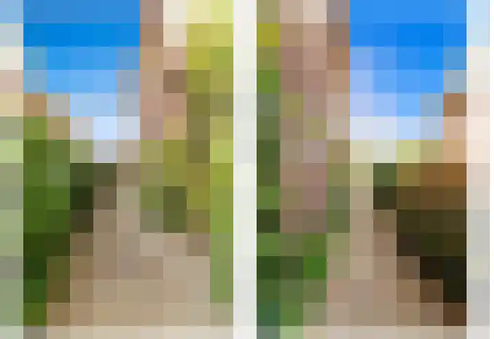 Kerkweg 20 Maasland thumbnail 6