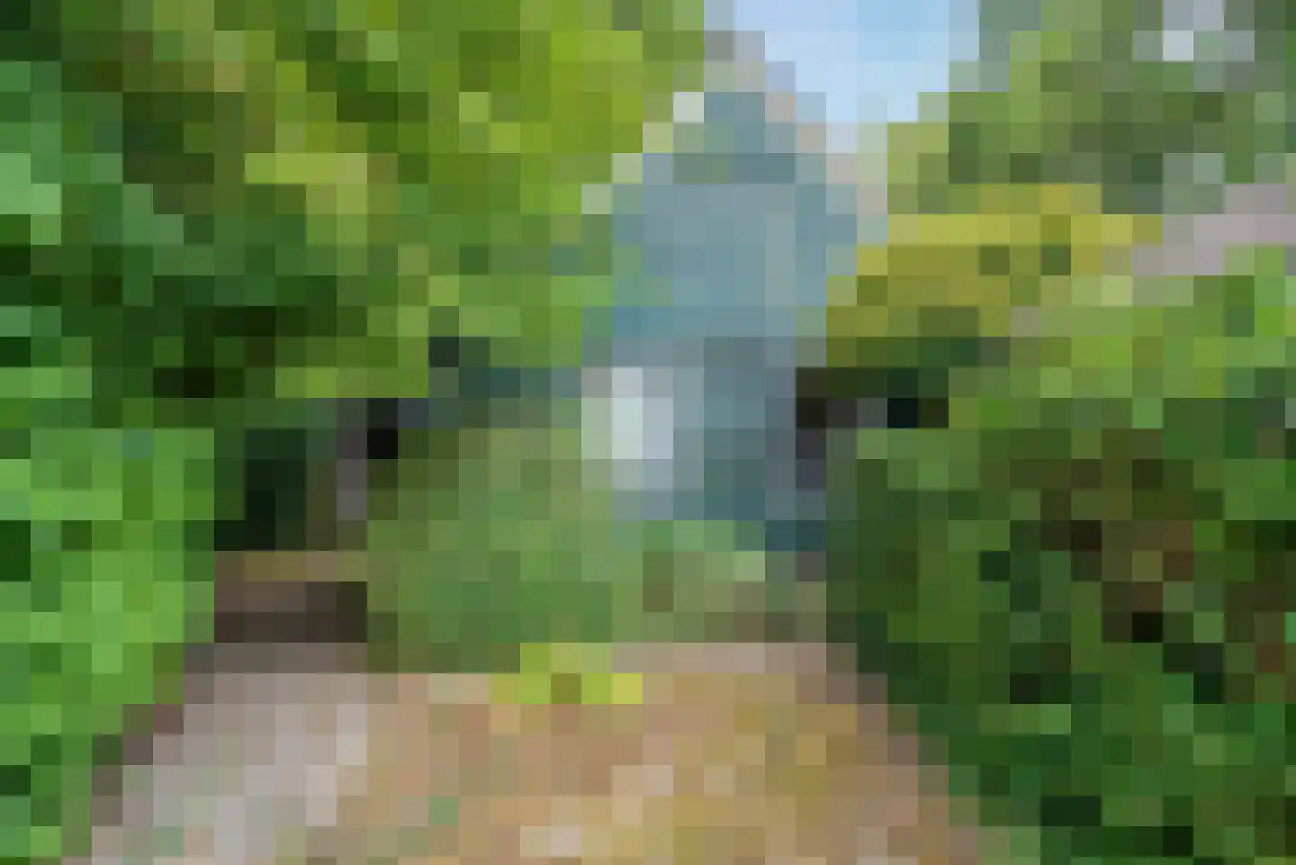 Kerkweg 21 Giethoorn thumbnail 10