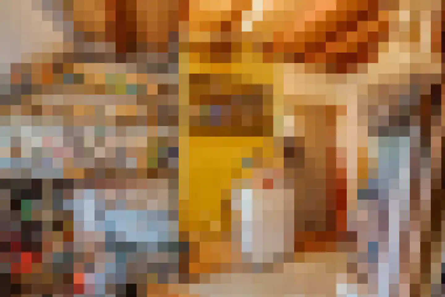 Kerkweg 21 Giethoorn thumbnail 22