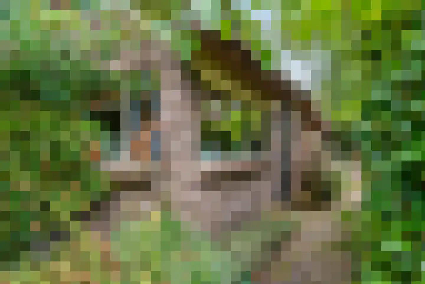Kerkweg 21 Giethoorn thumbnail 31