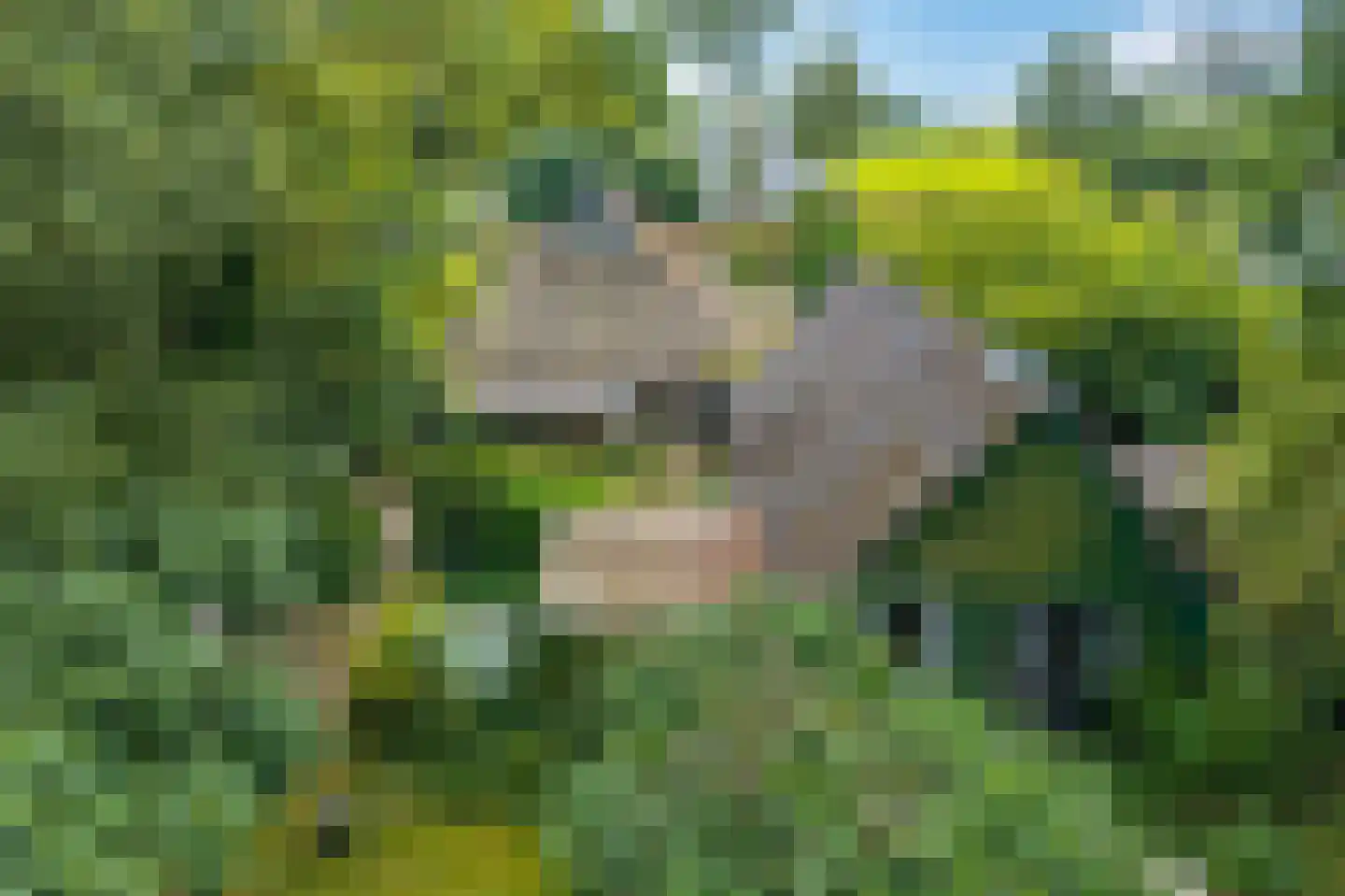 Kerkweg 21 Giethoorn thumbnail 33