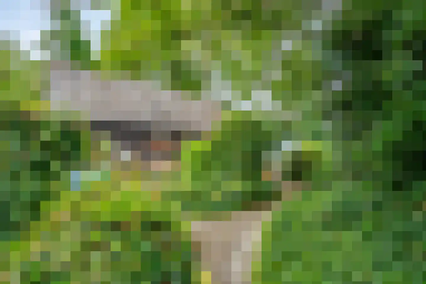 Kerkweg 21 Giethoorn thumbnail 35
