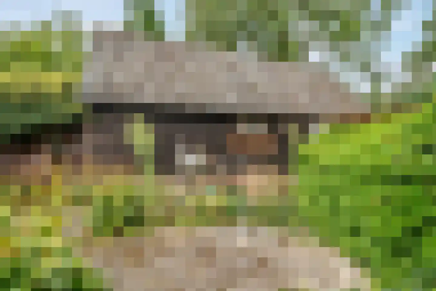 Kerkweg 21 Giethoorn thumbnail 36