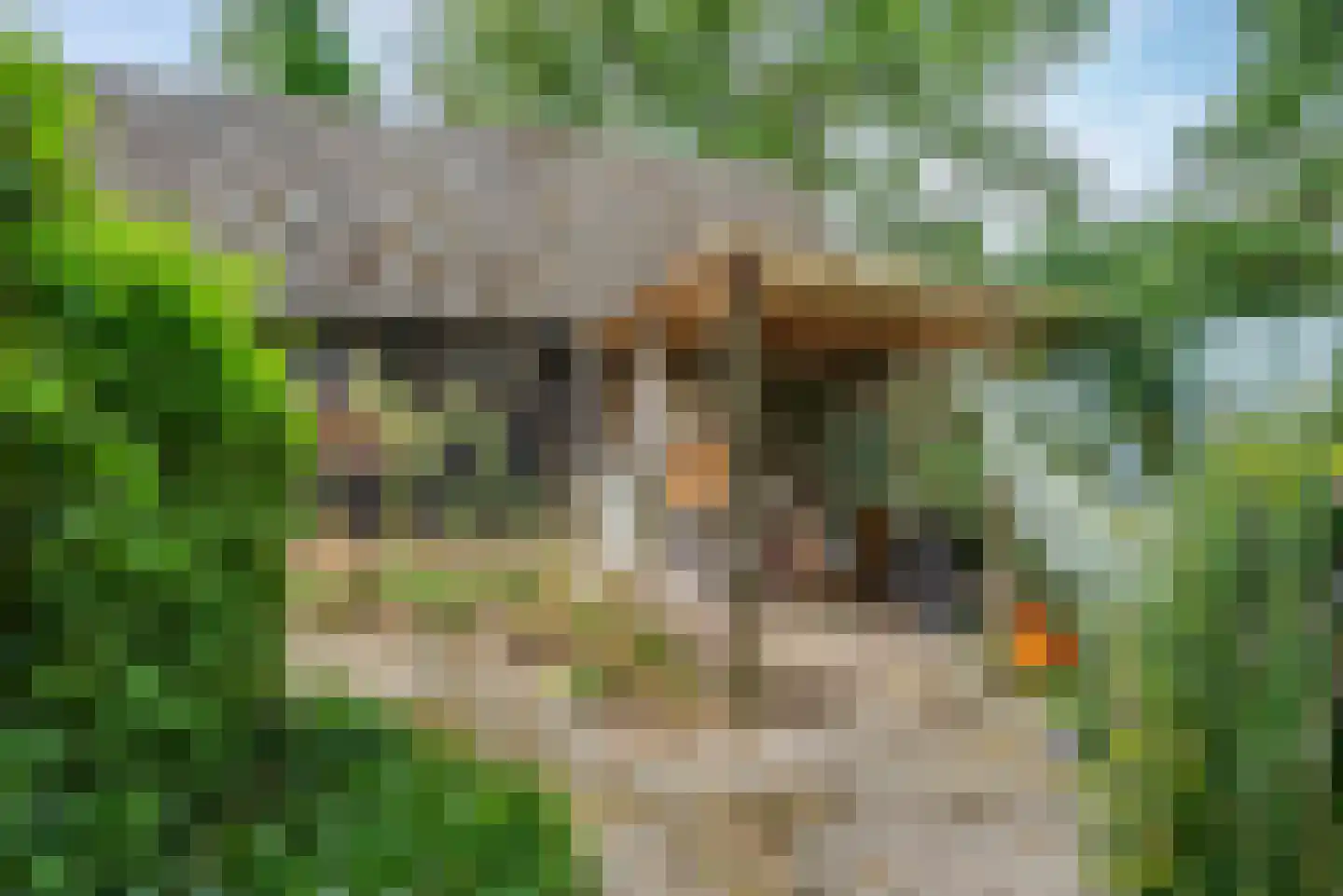 Kerkweg 21 Giethoorn thumbnail 37