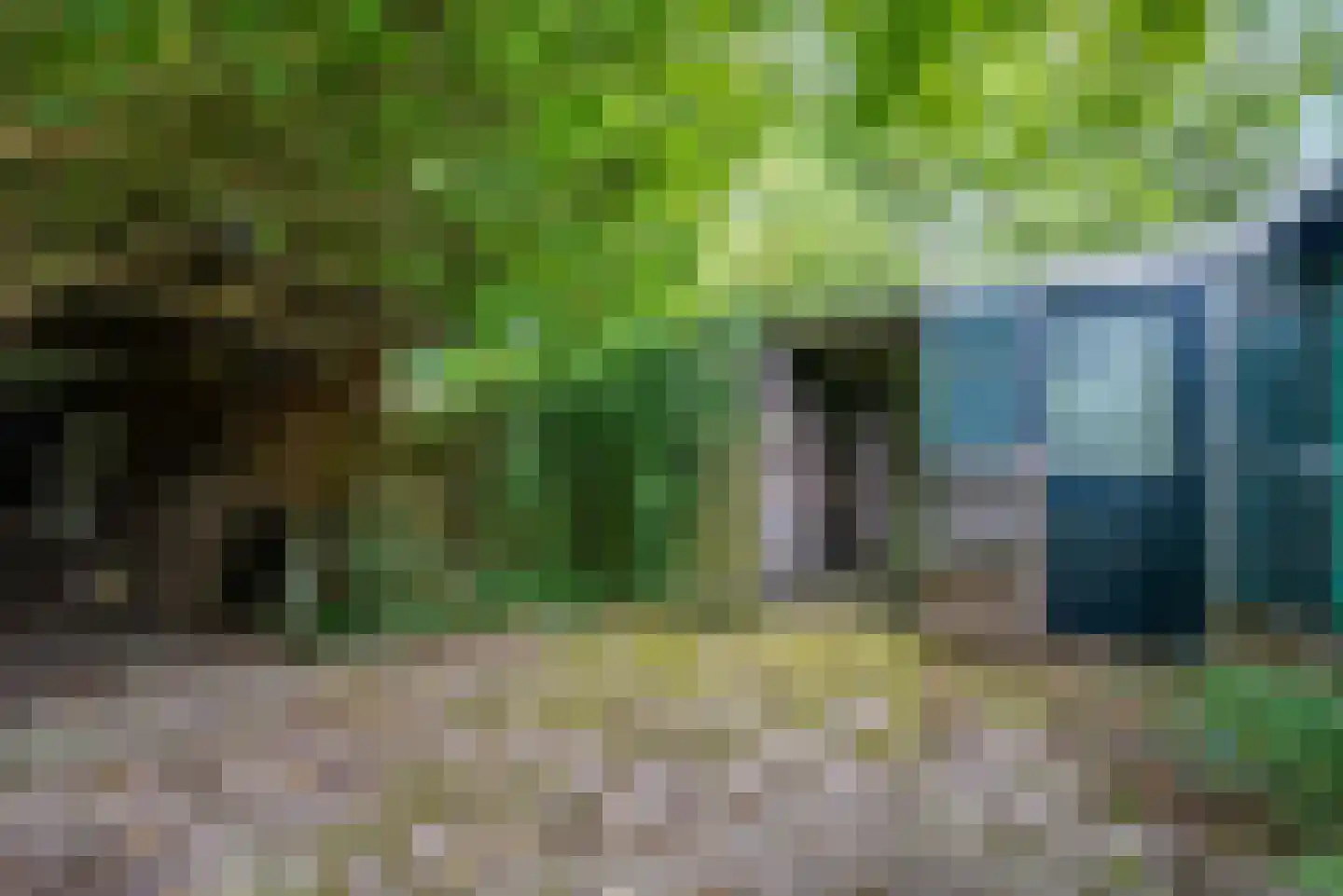 Kerkweg 21 Giethoorn thumbnail 38