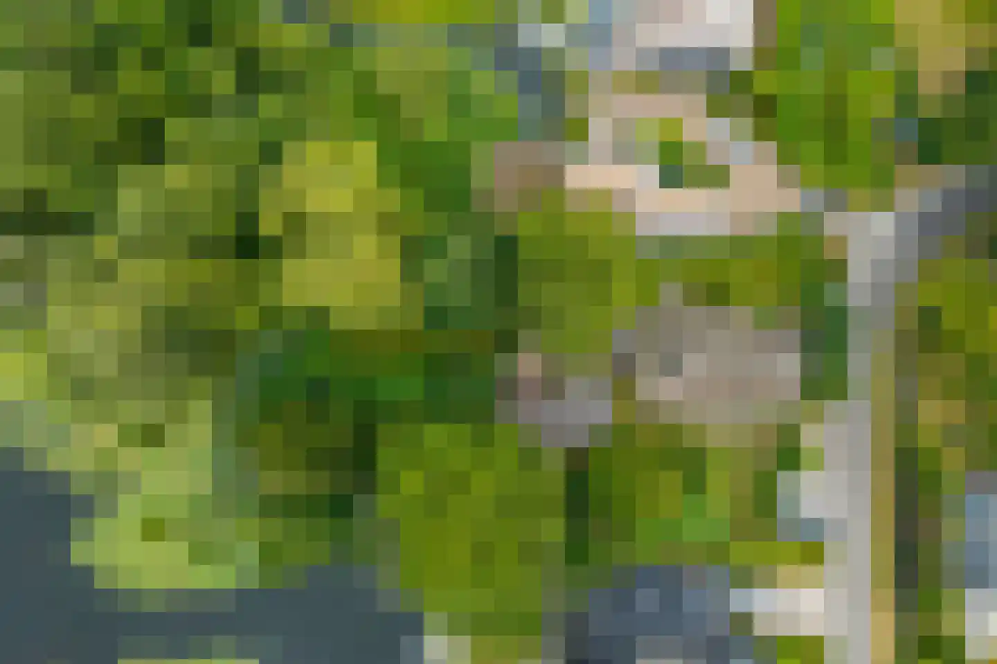 Kerkweg 21 Giethoorn thumbnail 4