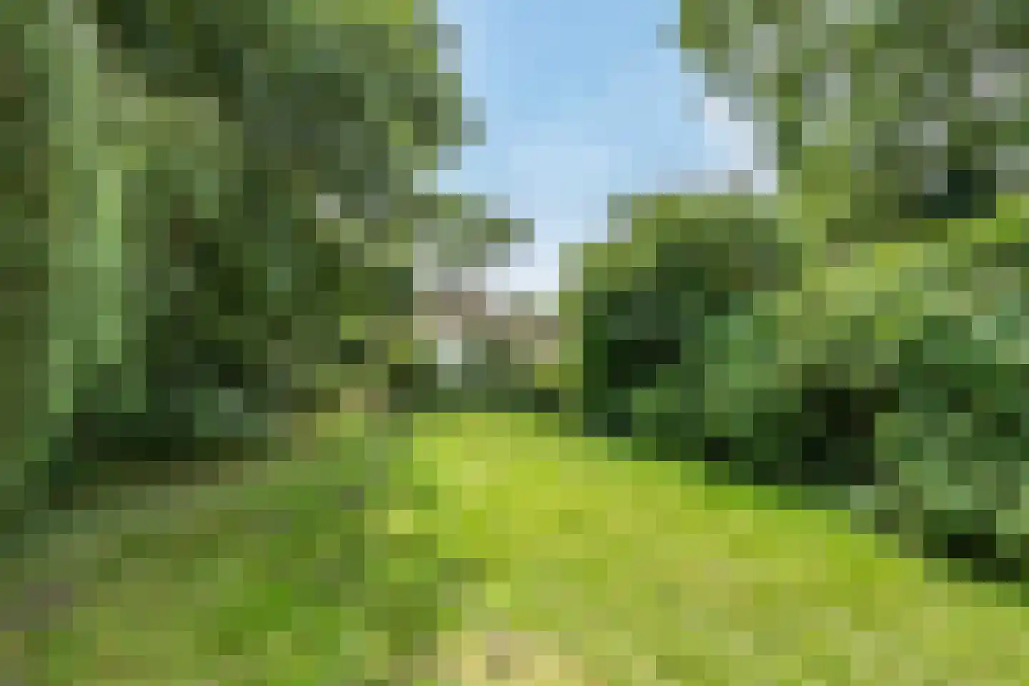 Kerkweg 21 Giethoorn thumbnail 40