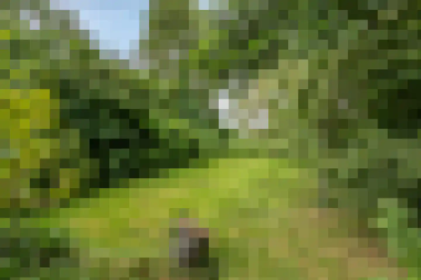Kerkweg 21 Giethoorn thumbnail 41