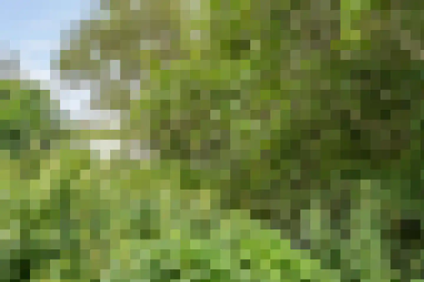 Kerkweg 21 Giethoorn thumbnail 42