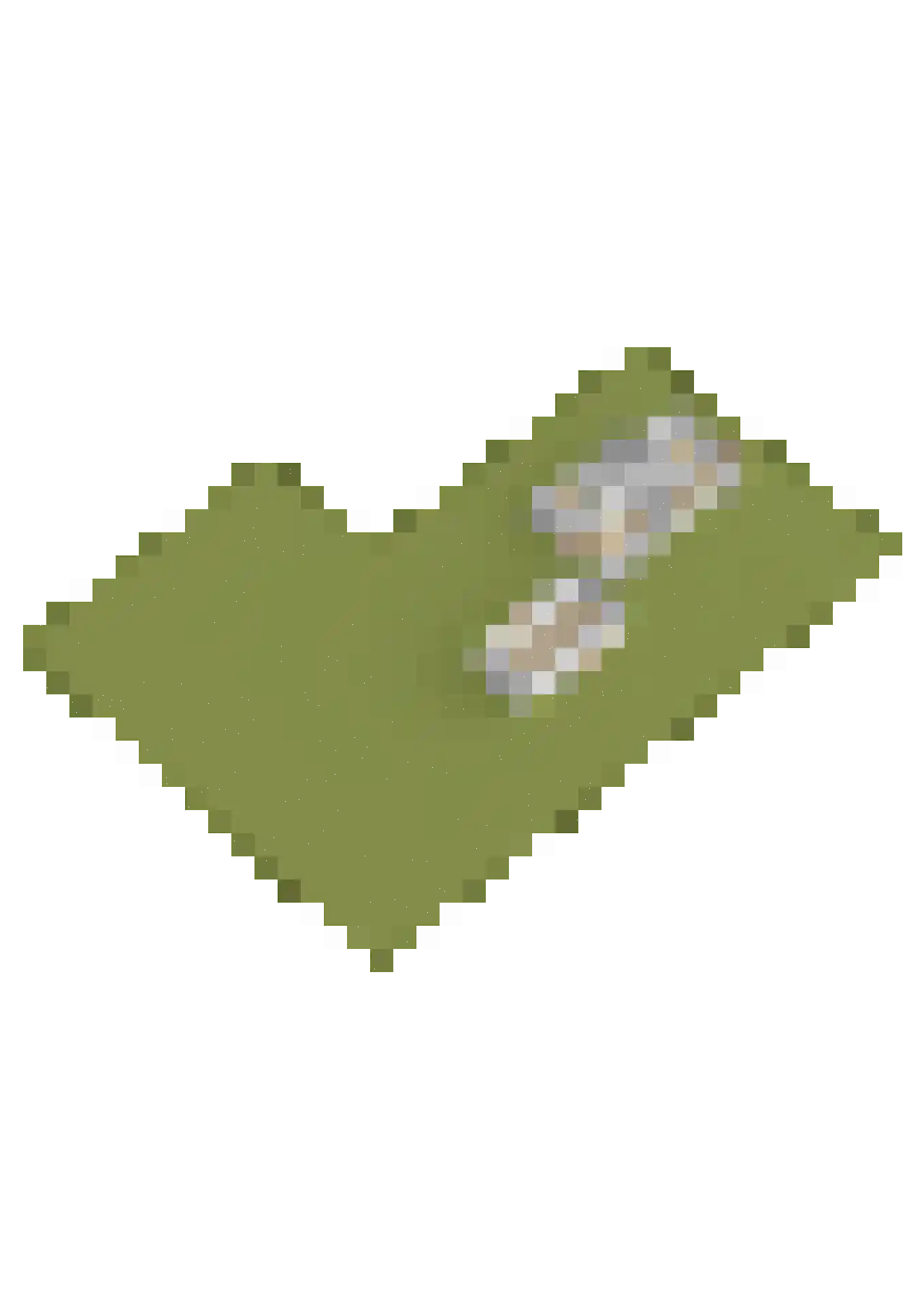 Kerkweg 21 Giethoorn thumbnail 50