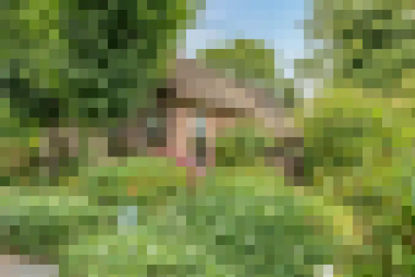Kerkweg 21 Giethoorn thumbnail 7