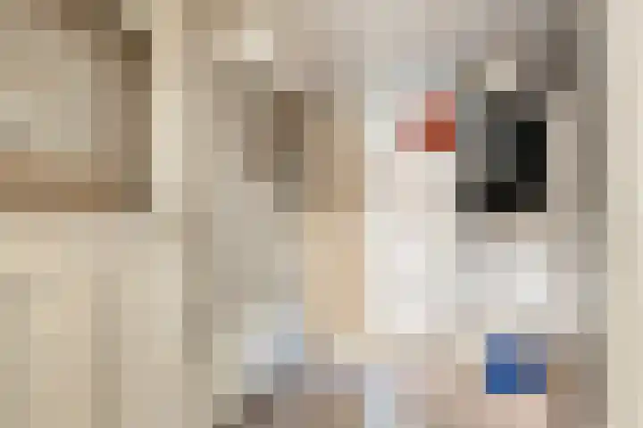 Kerkweg 21 Leek thumbnail 17