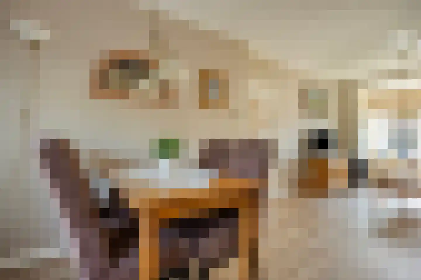 Kerkweg 21 Zijderveld thumbnail 13
