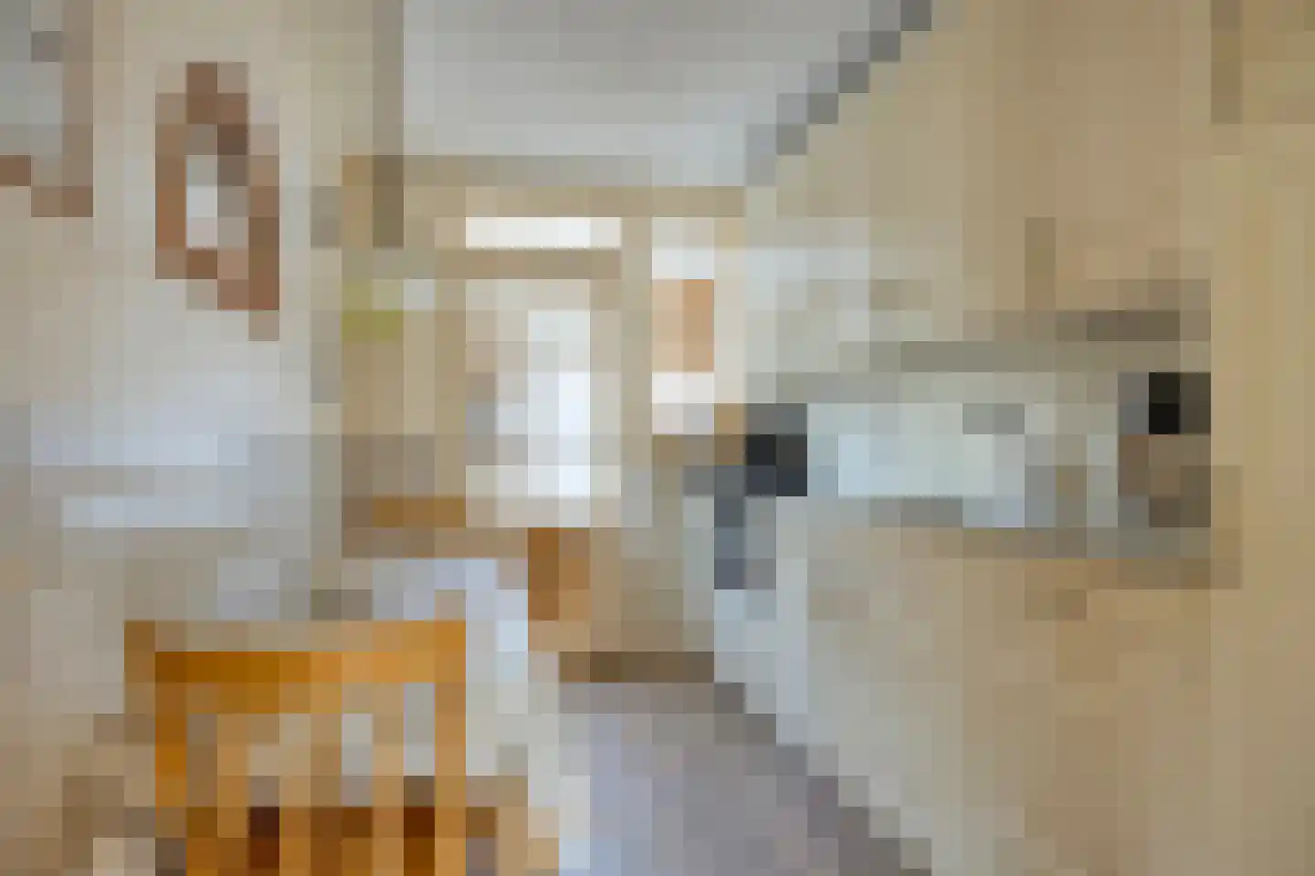 Kerkweg 21 Zijderveld thumbnail 14