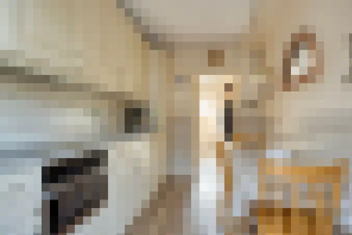 Kerkweg 21 Zijderveld thumbnail 15