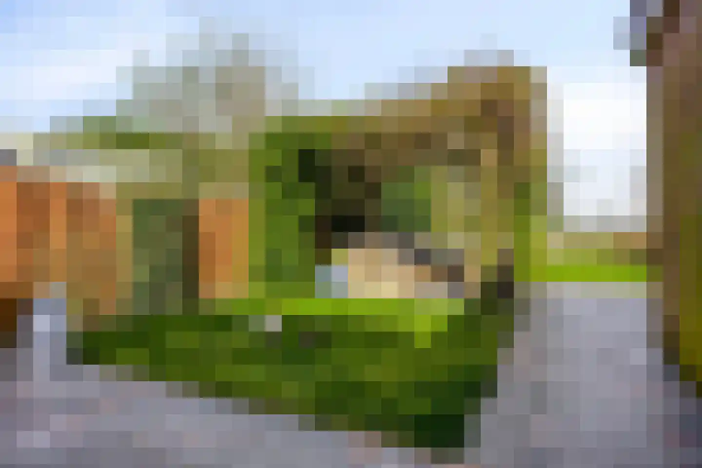 Kerkweg 21 Zijderveld thumbnail 19