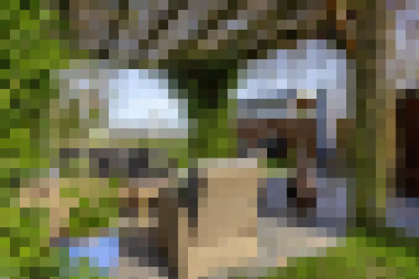 Kerkweg 21 Zijderveld thumbnail 23