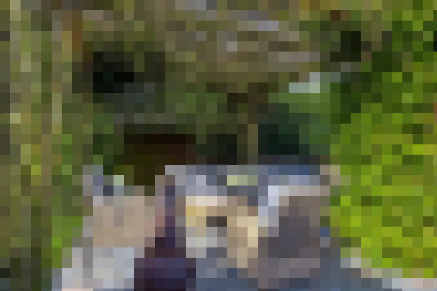 Kerkweg 21 Zijderveld thumbnail 24