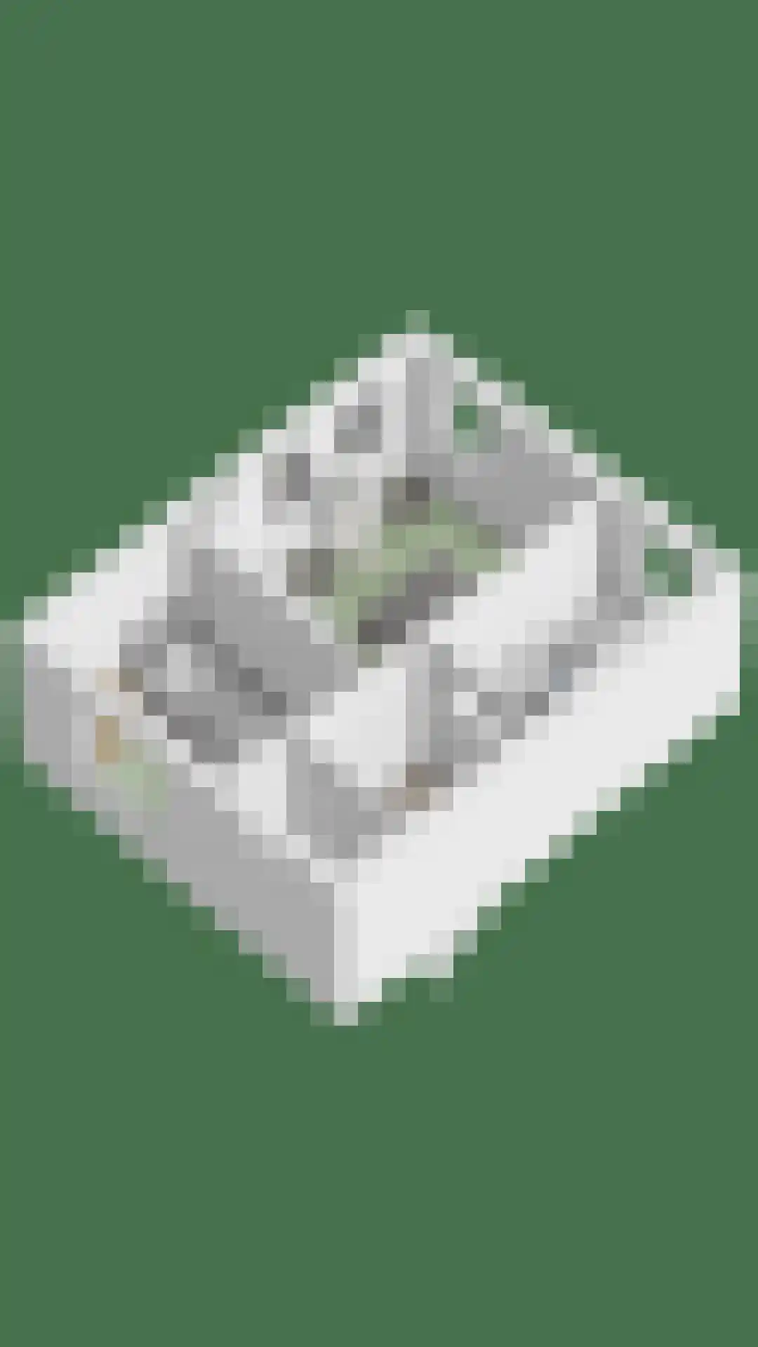 Kerkweg 21 Zijderveld thumbnail 53
