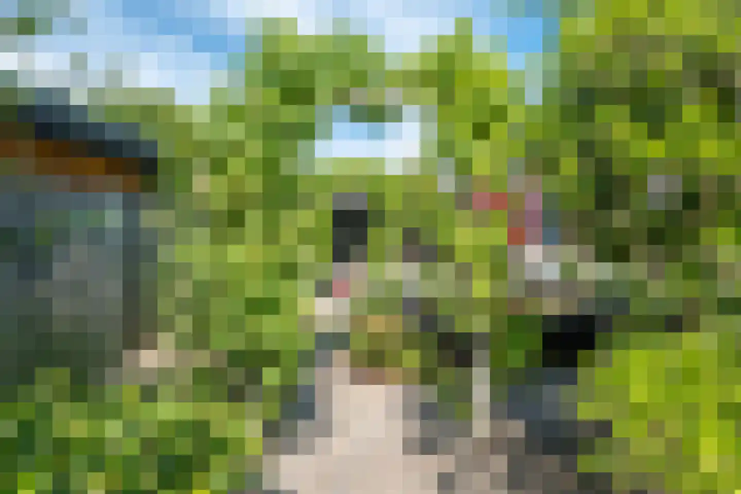 Kerkweg 22 A Wognum thumbnail 39