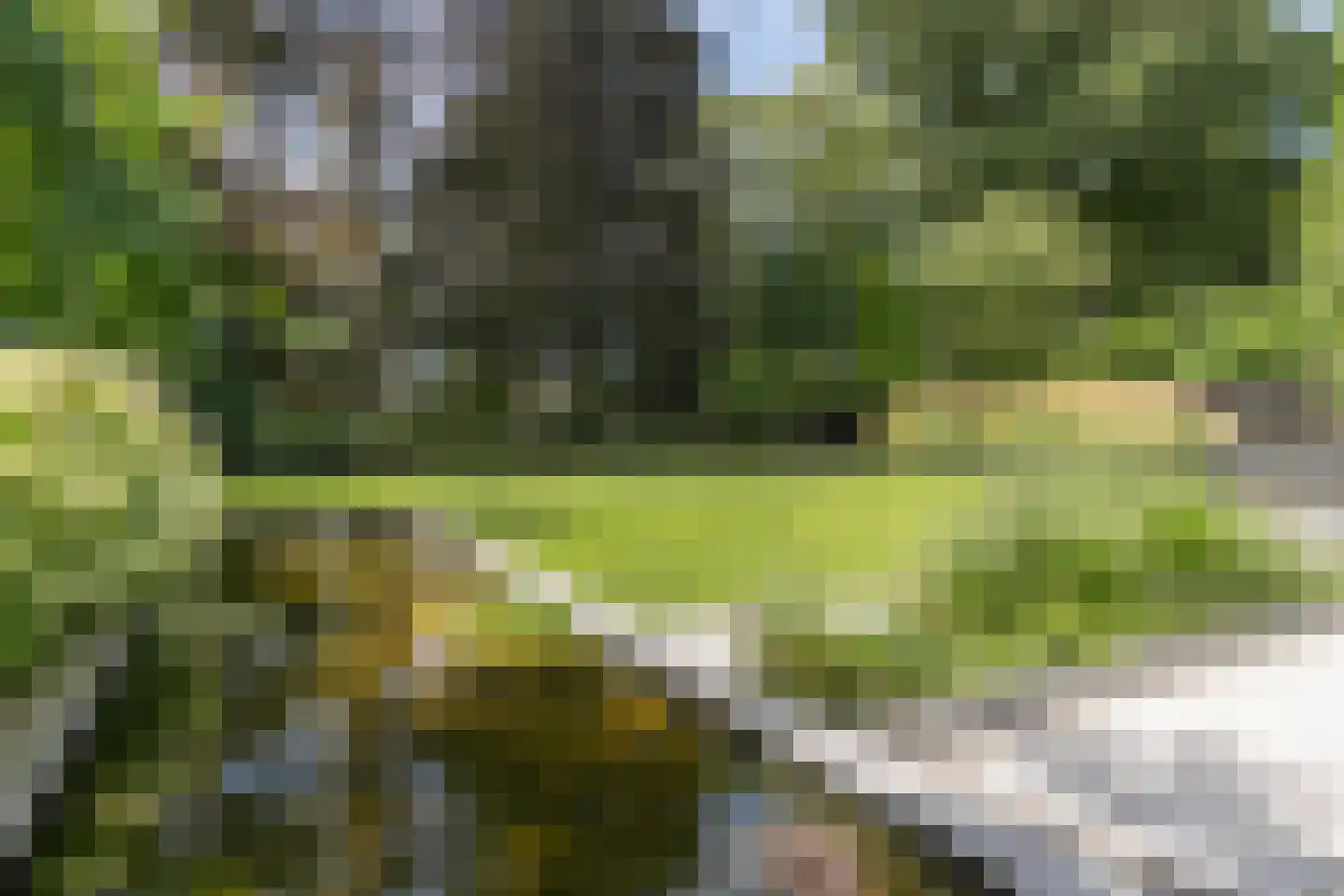 Kerkweg 22 Aalsmeer thumbnail 11