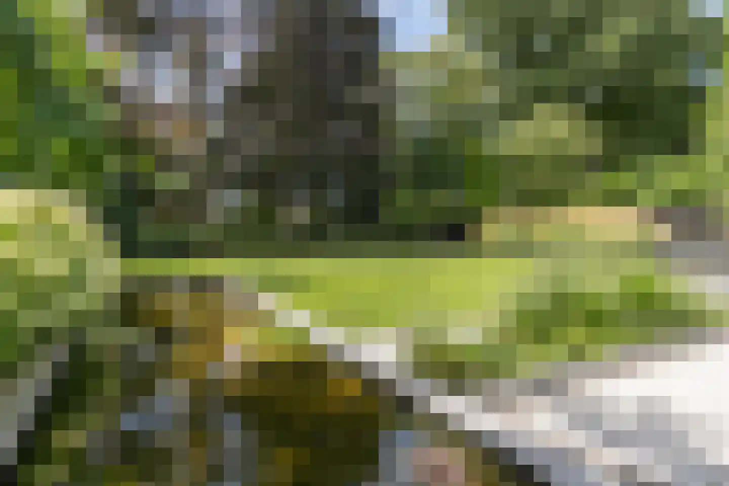 Kerkweg 22 Aalsmeer thumbnail 12