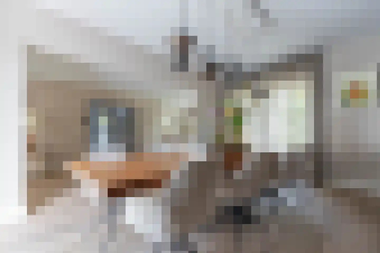 Kerkweg 22 Aalsmeer thumbnail 29
