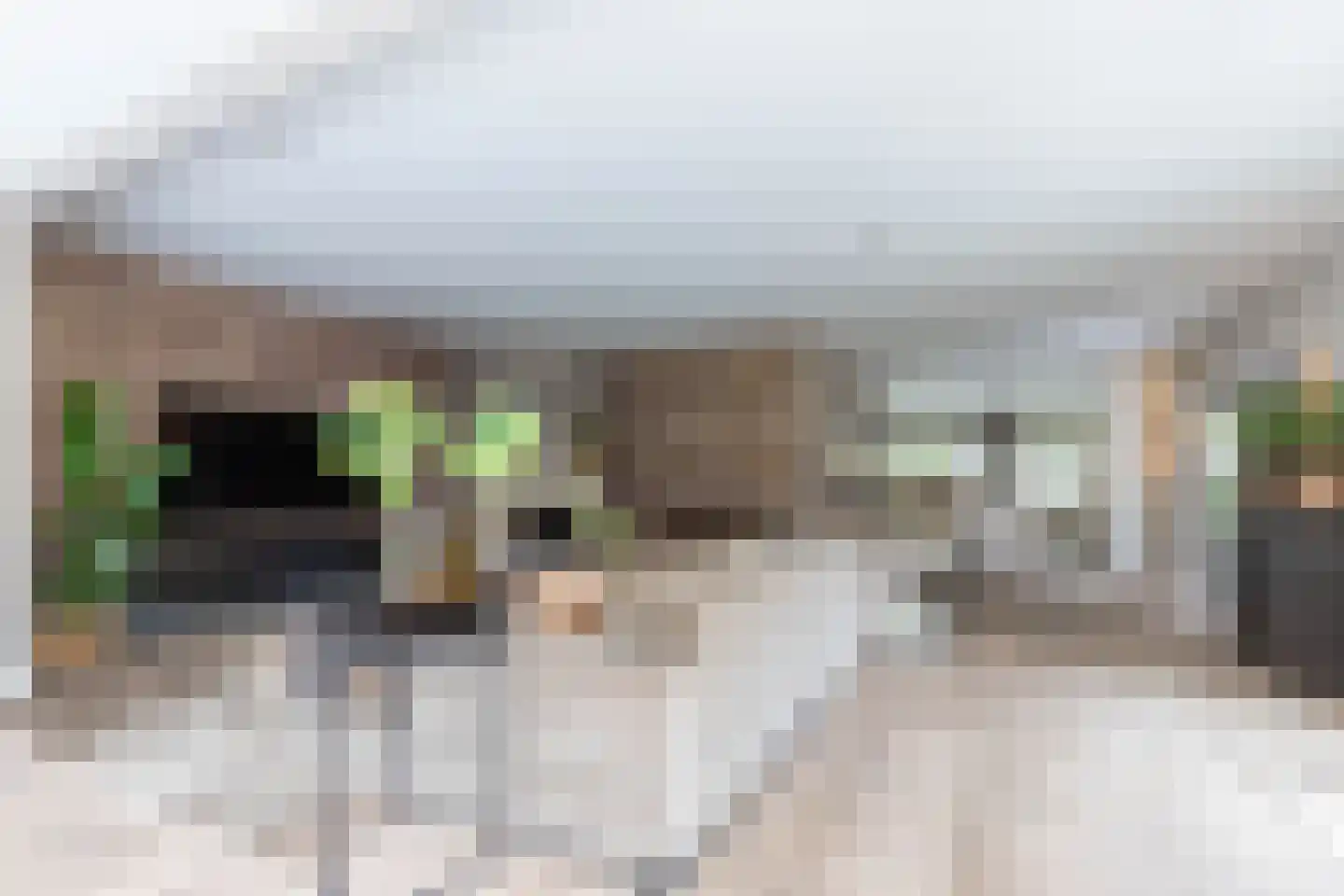 Kerkweg 22 Aalsmeer thumbnail 4