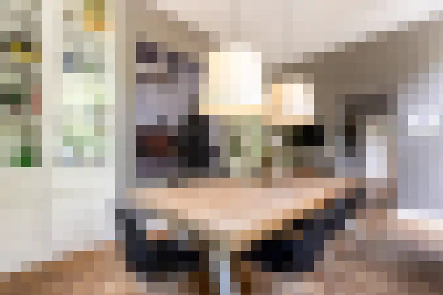 Kerkweg 22 Heenvliet thumbnail 20