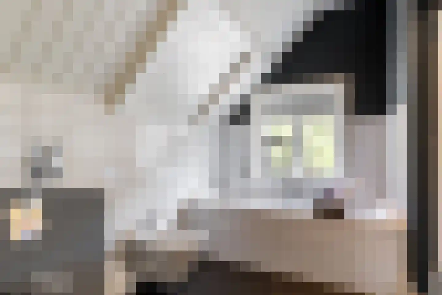 Kerkweg 22 Heenvliet thumbnail 25