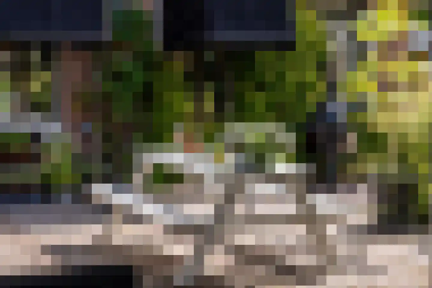Kerkweg 22 Heenvliet thumbnail 39