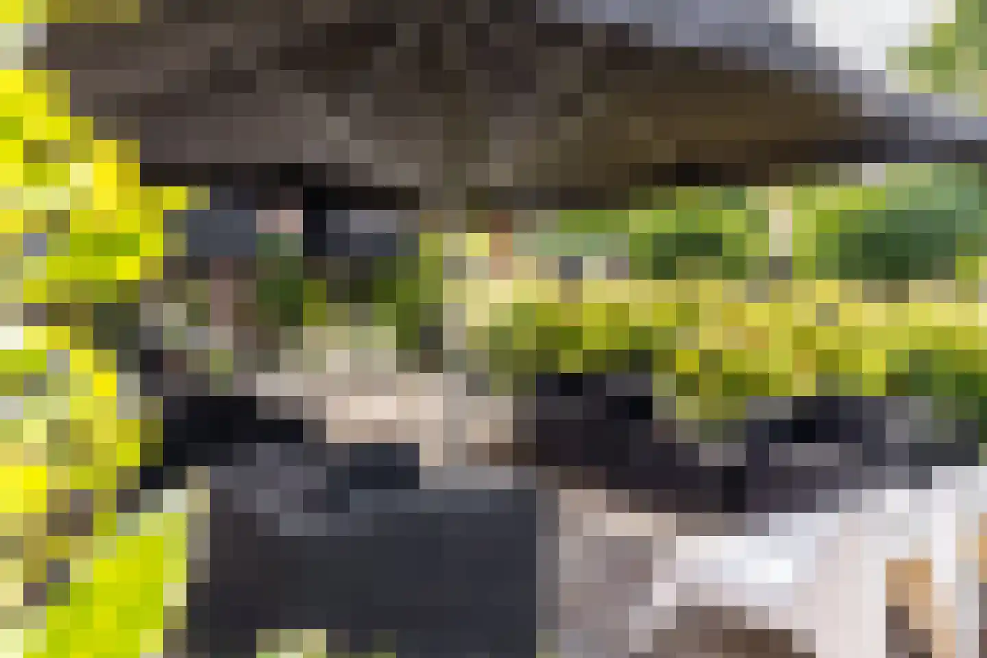 Kerkweg 22 Heenvliet thumbnail 42