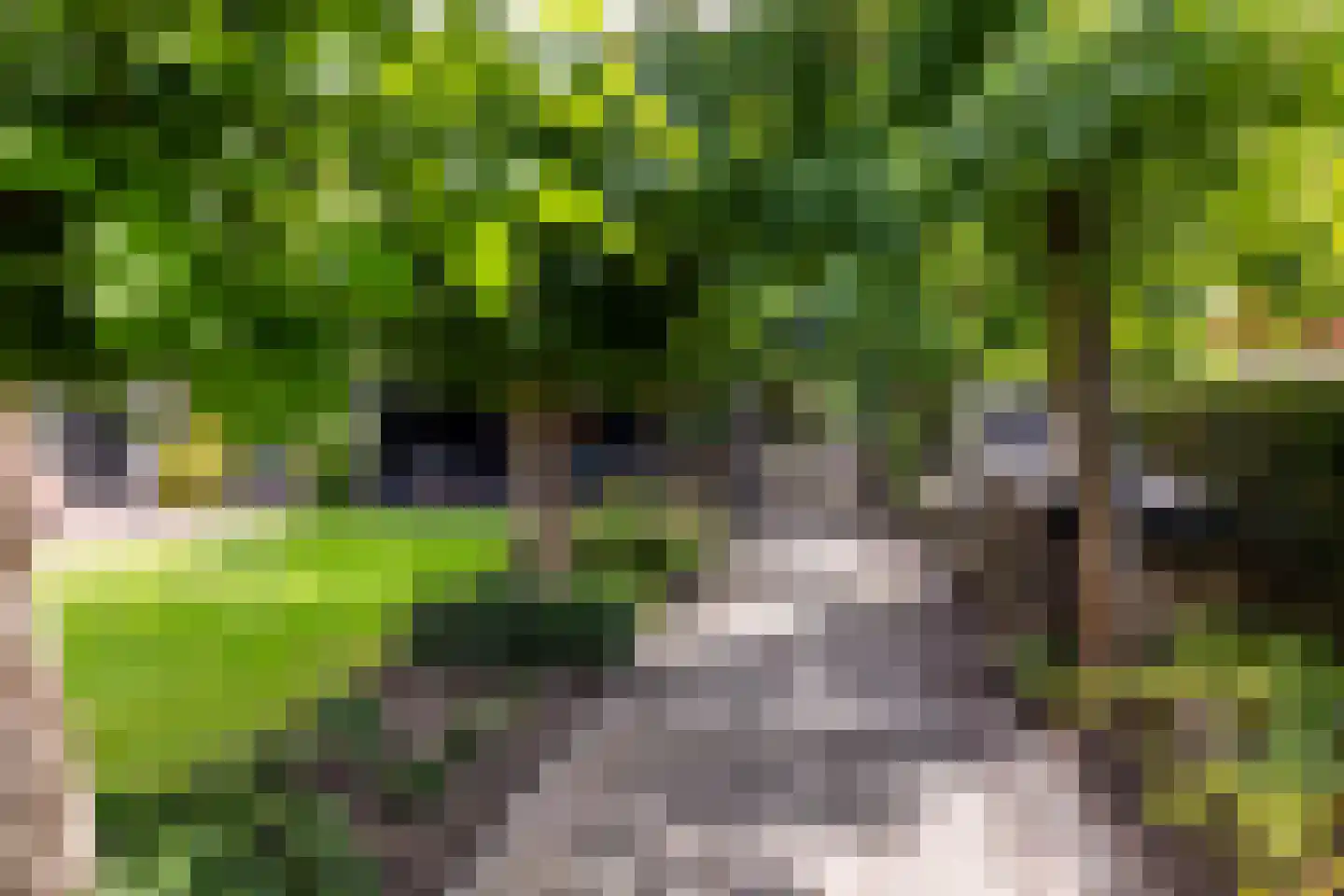 Kerkweg 22 Heenvliet thumbnail 46