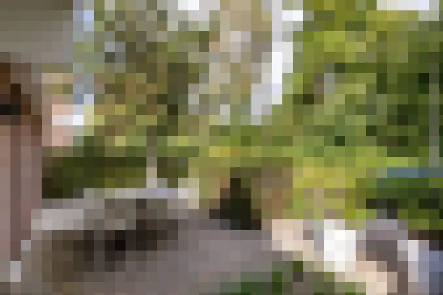 Kerkweg 22 Heenvliet thumbnail 61